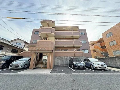 アムールハイツの画像