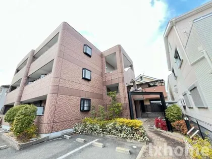 ヴェルジェの画像