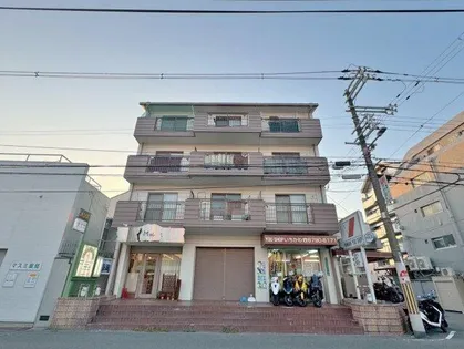 大阪府大阪市平野区流町3丁目【マンション】の外観