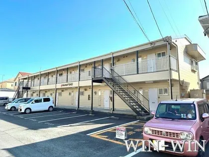 エルディムナツメDの画像