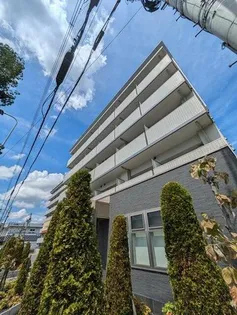 シカタ シャンブレットIIの画像