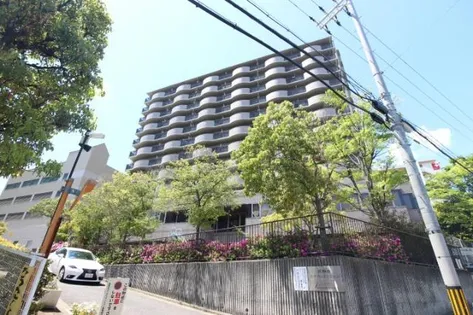 デメテル高取台【10階】の外観