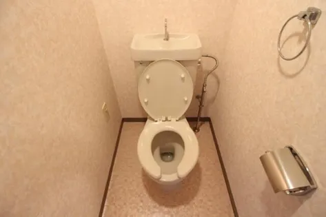 デメテル高取台【10階】の内装