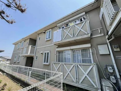 アネックス光の画像