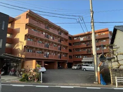 グレース篠木Vの画像