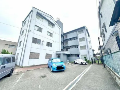 ベルベ田中の画像