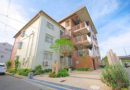 ルミエールの画像