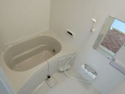 ステージ (G・H)【H号室】の風呂