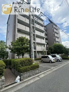 エオリアンハープの画像