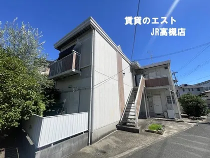 コスモス暁の画像