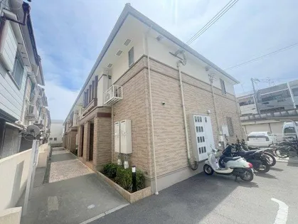 コッティIの画像