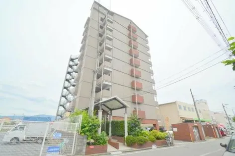 ニュープリーメルの画像