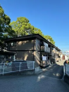 ハイムローリエの画像