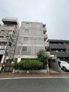 コォンパーニュ マルミの画像