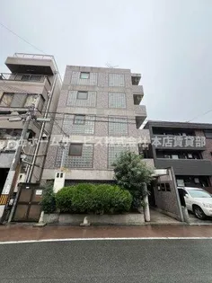 コォンパーニュマルミの画像