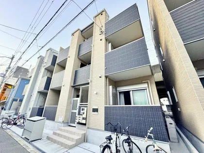 FELICE ROCCO SHOJIHIGASHIの画像