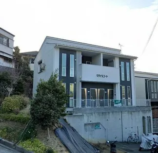 ウグイスコートの画像