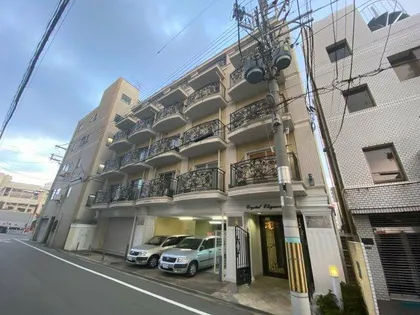 クリスタルエレガンス・EAST【2階】の外観