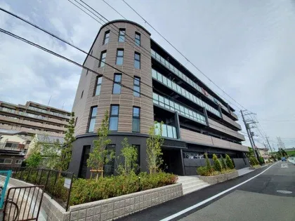 SERENITY JINの画像