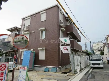 ティアラの画像