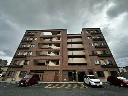 ガーデンブルグ守恒の画像