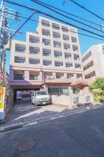 ダイナコートグランドエスタディオ【2階】の外観