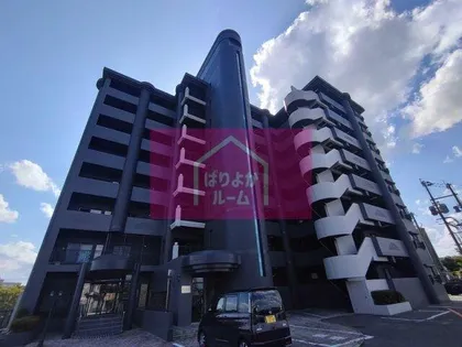 ピッティ パラッツォの画像