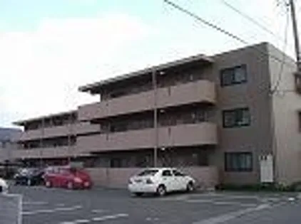 ウィンフィールド曙の画像