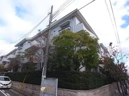 CROSS SEASON甲子園の画像