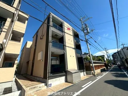 F ASECIA RUMINAの画像