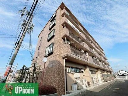 フェリースアイチの画像