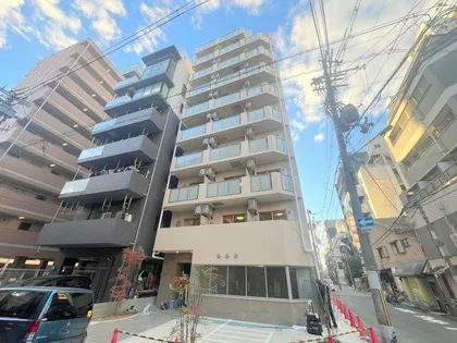 FELIZ GALAXYの画像