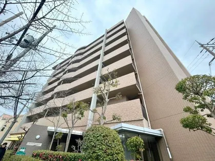 スピカ リヴェルテの画像