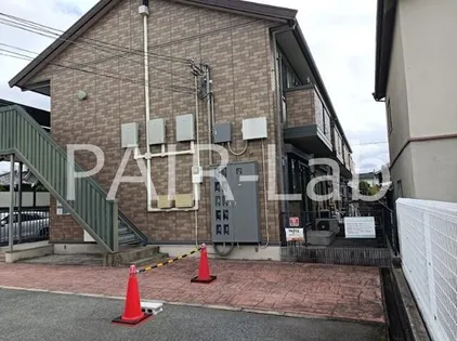 プラシードの画像