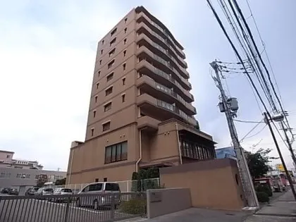 ファーストプライズの画像