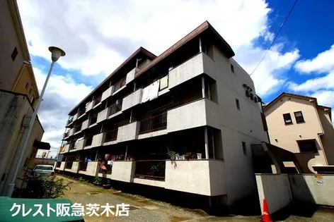 メゾン東茨木の画像