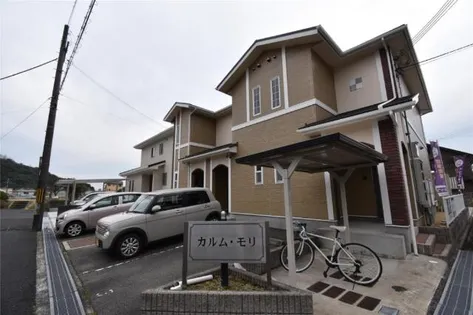 カルム モリの画像