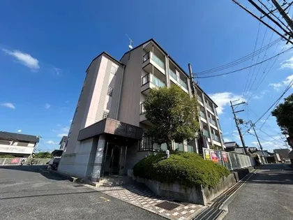 エランビタールの画像