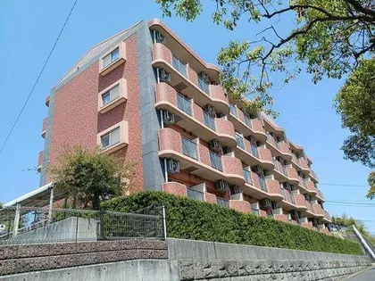 ハミングバード上吉田の画像