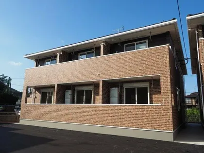 スプリング 外園Aの画像