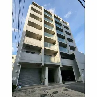 ホワイト ウィステリアの画像