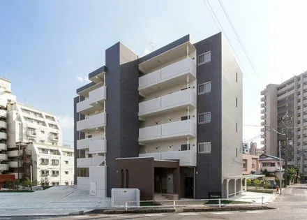 パーシモンの画像