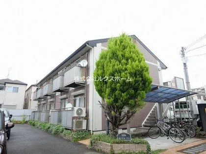 セードルワンの画像