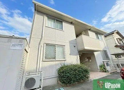 ドマーニの画像