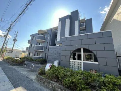 BOA VISTAの画像