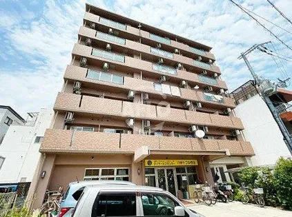 マンスフィールド桃谷の画像