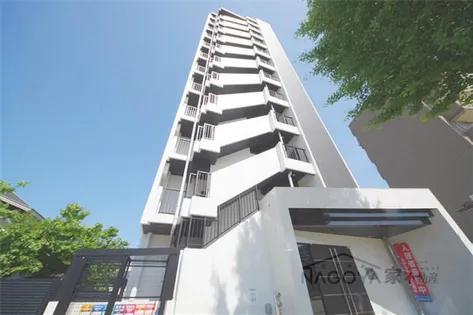 Mステージ矢田南の画像