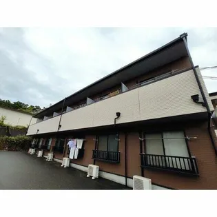 アムール山崎の画像