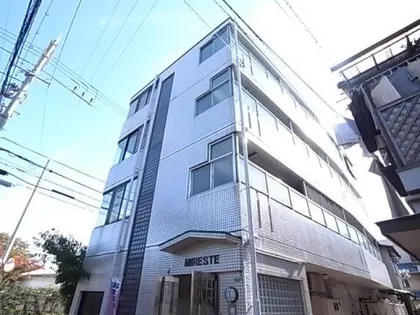 ミレスティマンションの画像