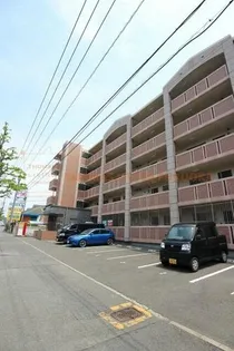 ダイヤモンドライフの画像